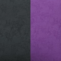 Черно-фиолетовый