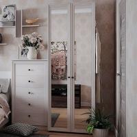 Шкаф для одежды фасад зеркало Paola 54 - Изображение 3