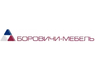 Боровичи